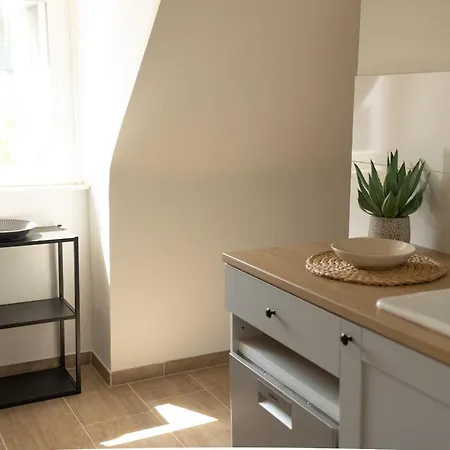 Schöne Stadtwohnung In Am Bodensee *