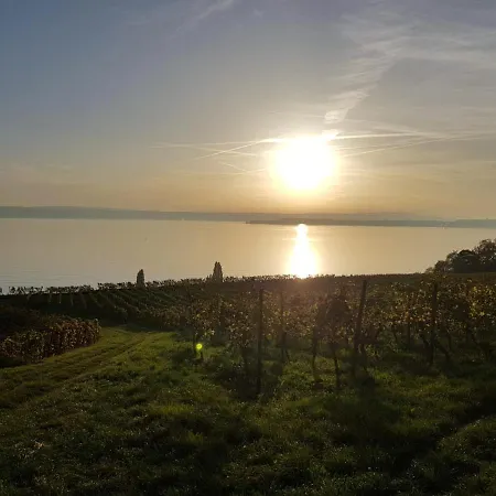 Apartment Schöne Stadtwohnung In Am Bodensee *