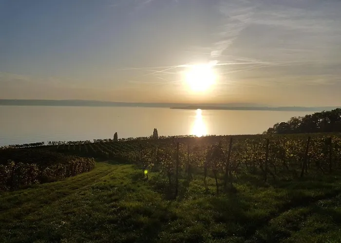 Apartamento Schoene Stadtwohnung In Am Bodensee *